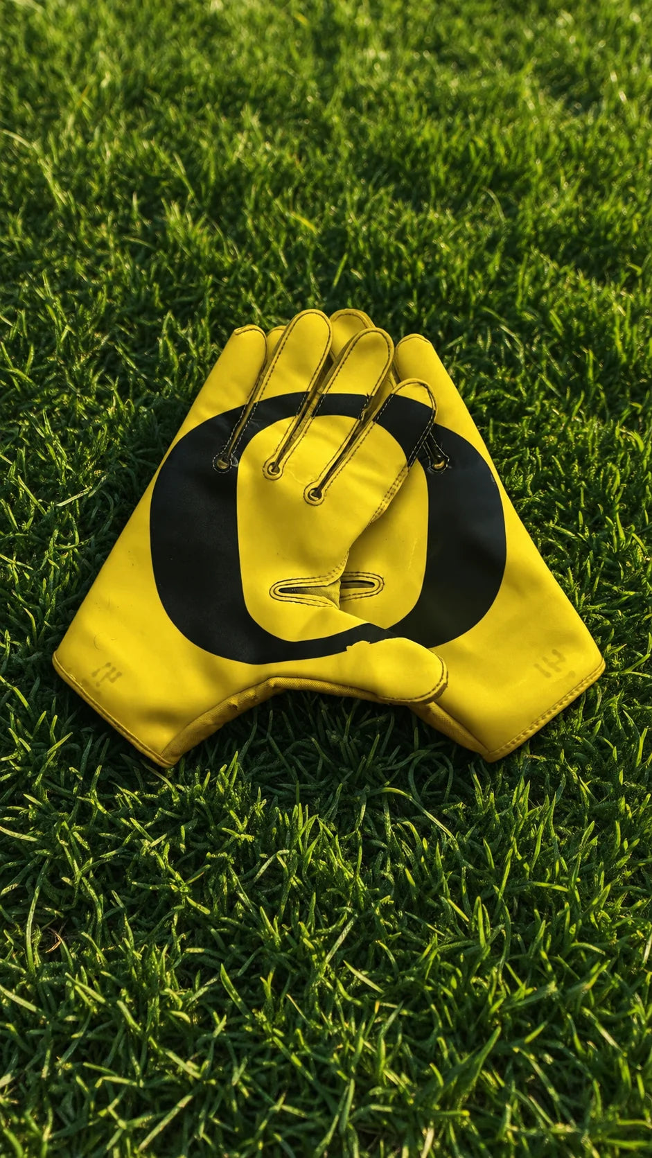 Oregon gloves