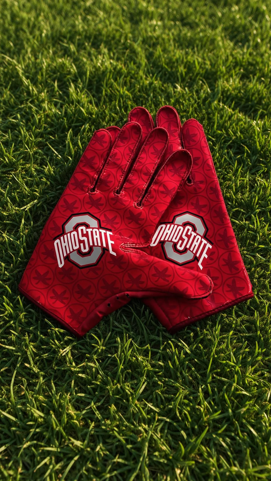 Ohio state gloves