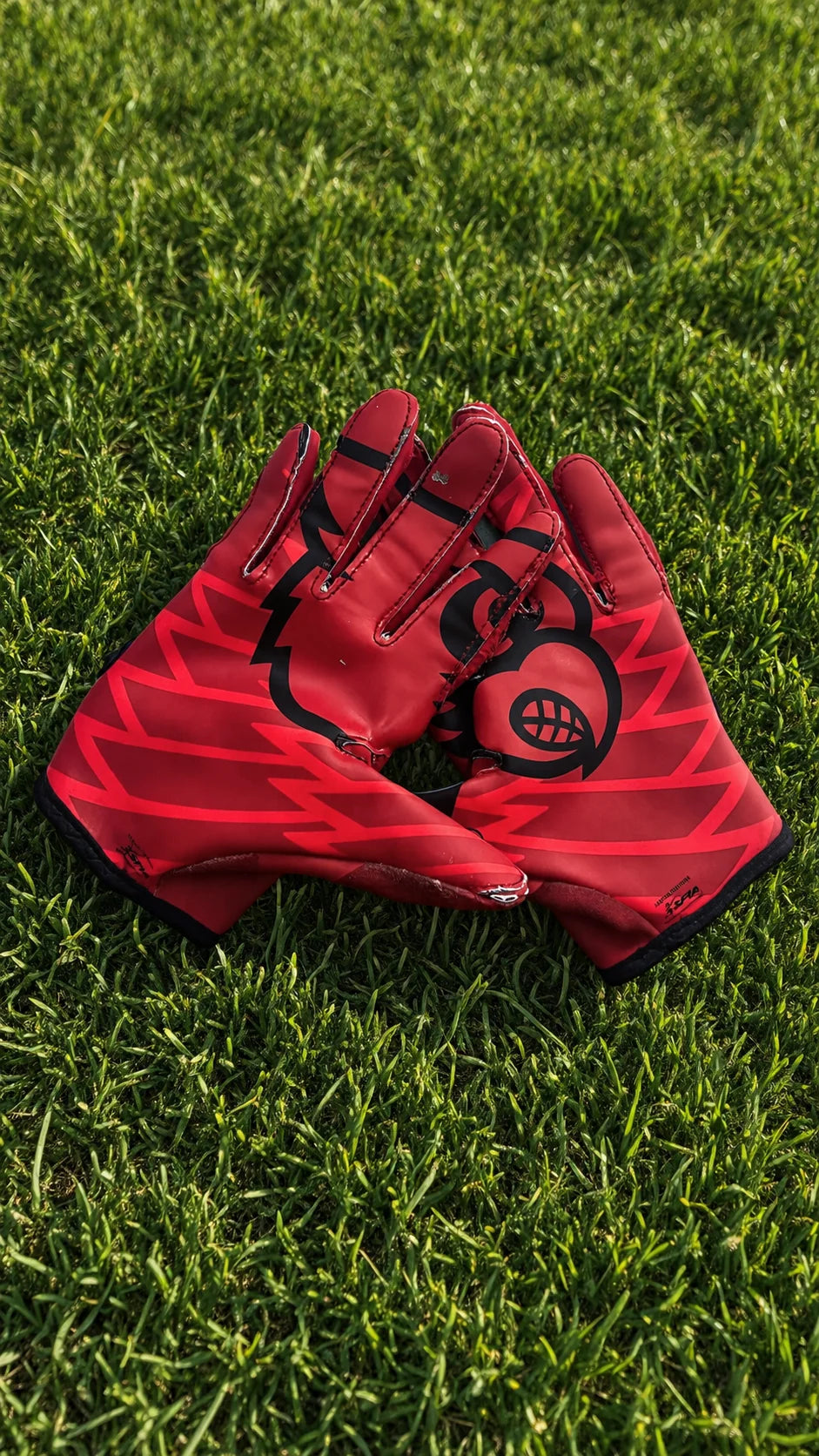 Louisville gloves